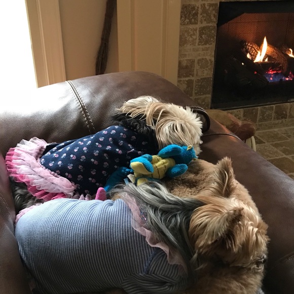 About me.... - Picture 6 of 8